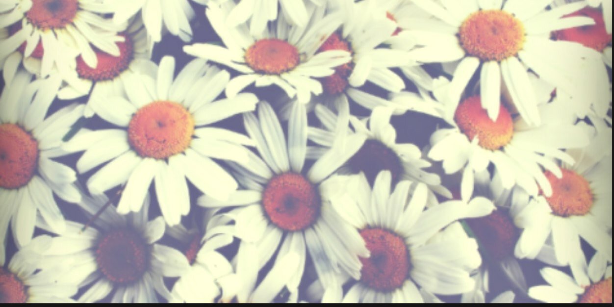 LucyAdele13's profile banner image