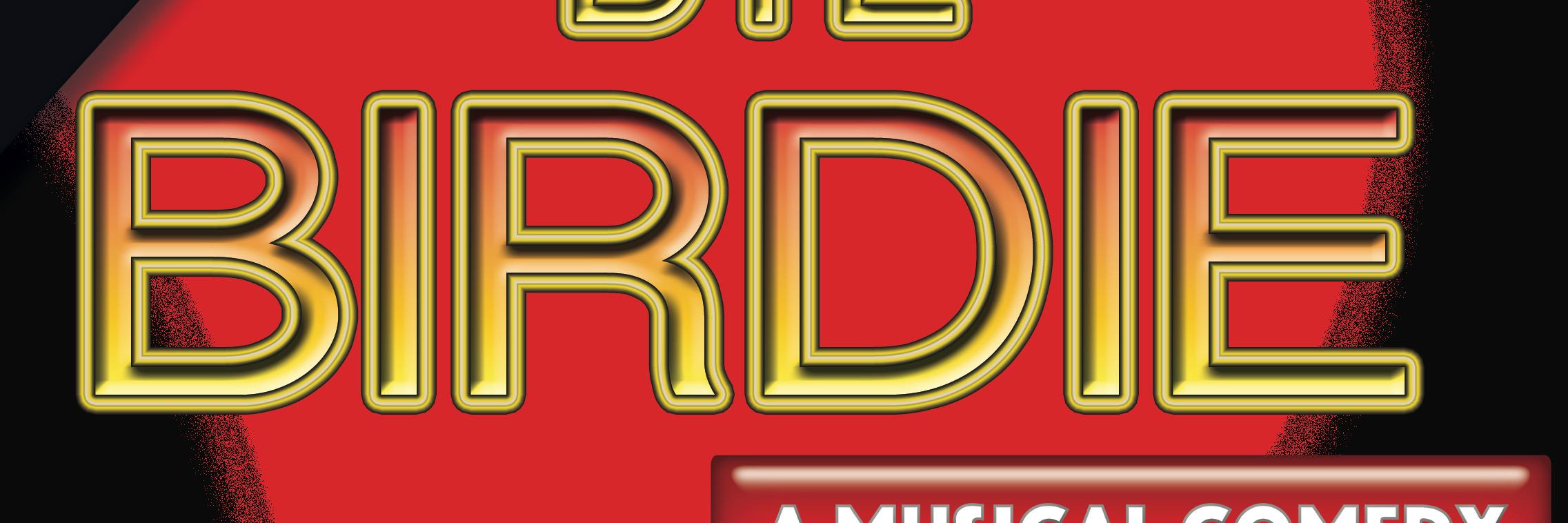 Bye Bye Birdie banner