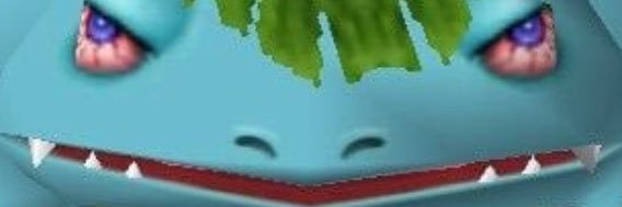 coco_jumbo_'s profile banner image