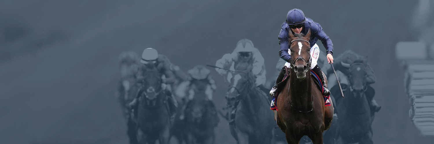 Timeform's banner