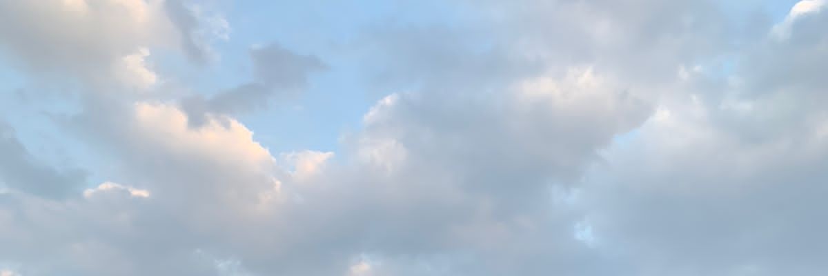 chookishi's profile banner image
