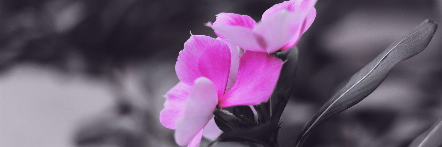 _Maria_iva_'s profile banner image
