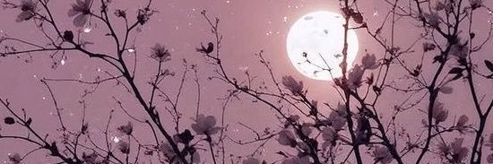wowarlene's profile banner image