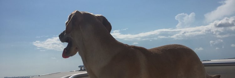 collette_rich's profile banner image