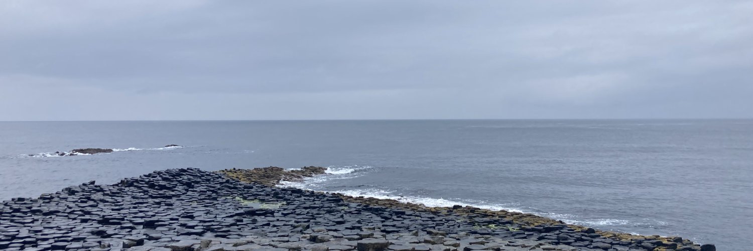 David Mitchell banner