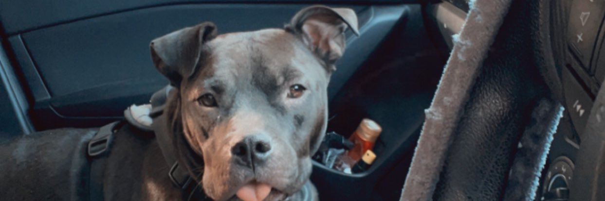 KaylaSimmss's profile banner image