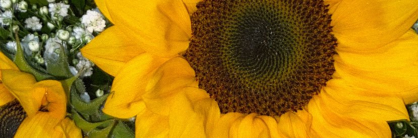 euusnider's profile banner image