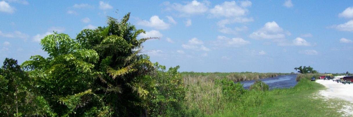 mtietbohl's profile banner image