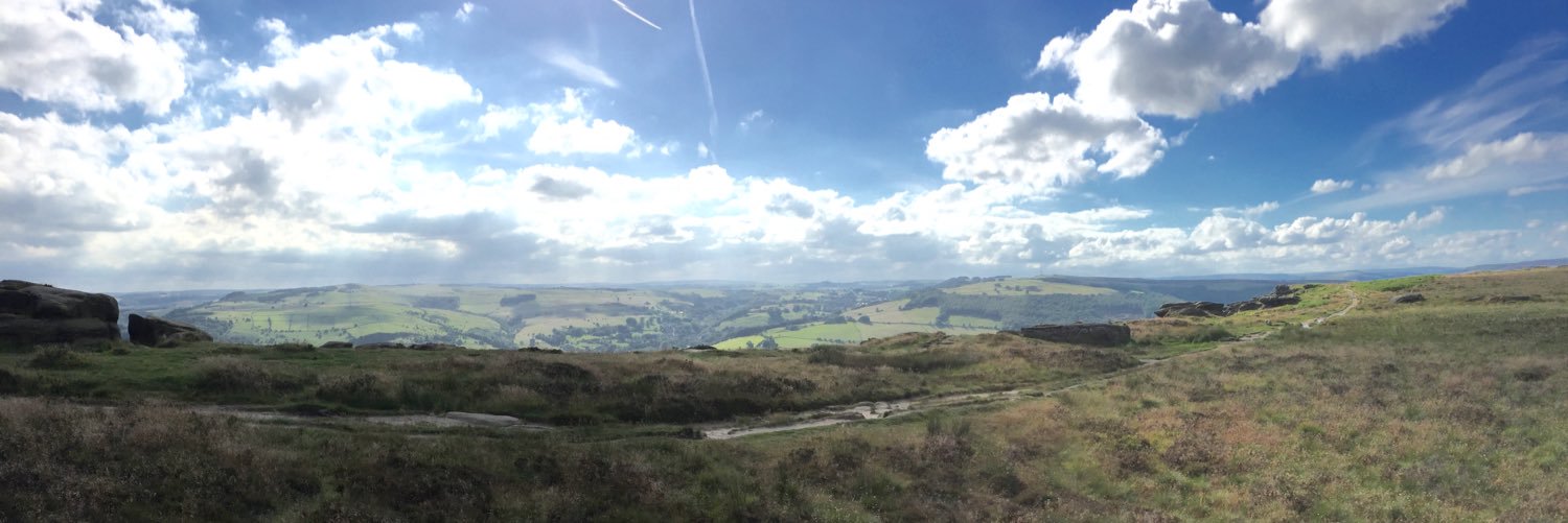 SearchDogDodger's profile banner image
