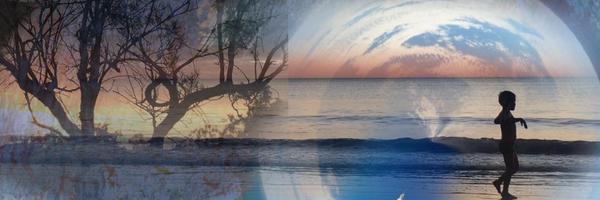 rtjardin Profile Banner