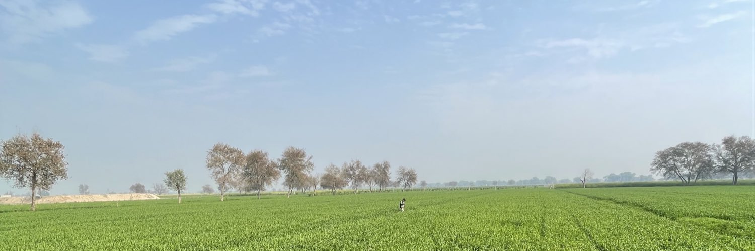 Vikram Singh Gill  banner