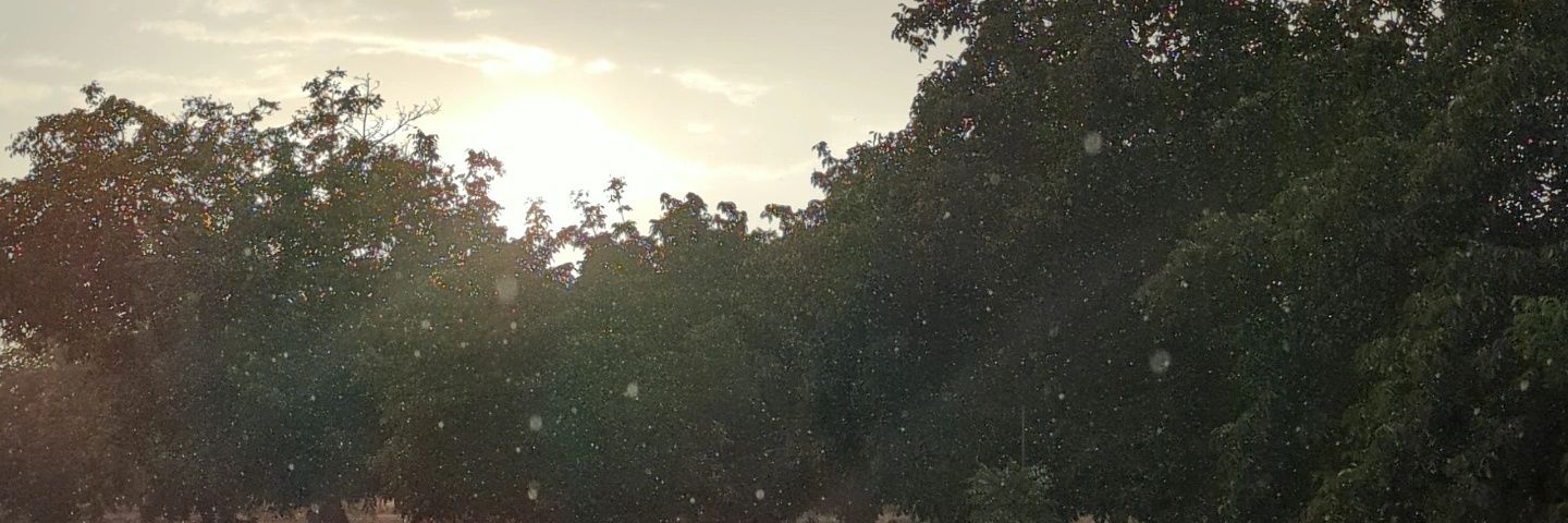 GabeNOjeda's profile banner image