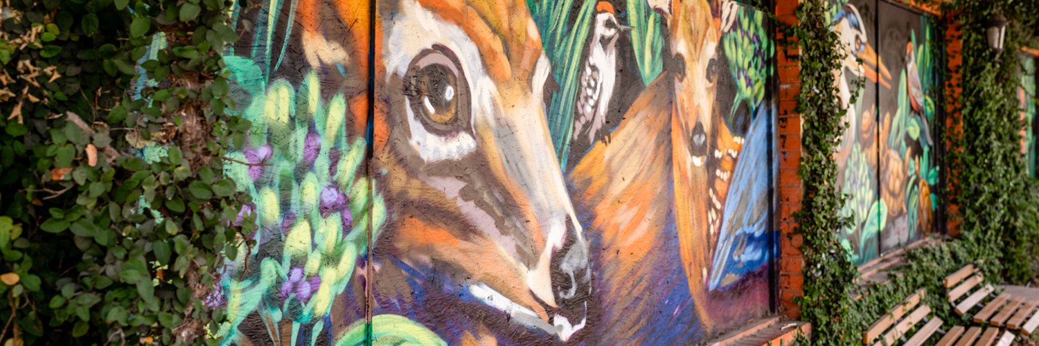 SquareRut's profile banner image