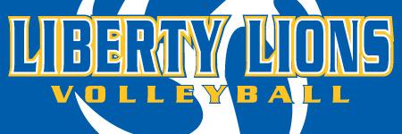 LHSVolleyball01's profile banner image