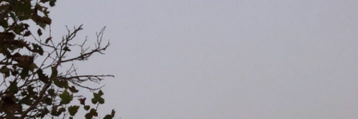 rj3fly's profile banner image