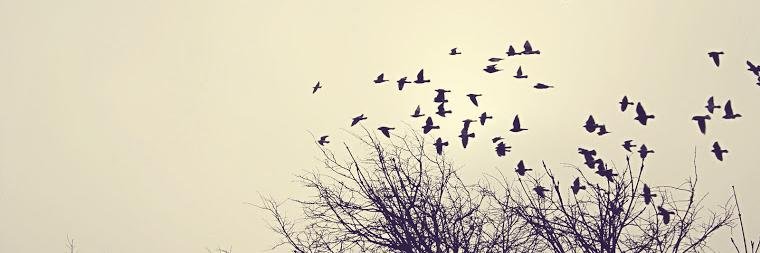 MariangelCValis's profile banner image