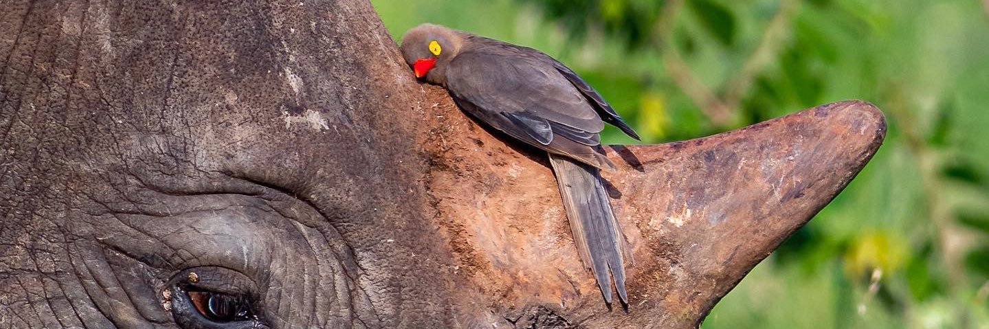 zhiyang_'s profile banner image