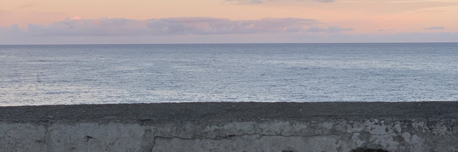 afdesousa's profile banner image