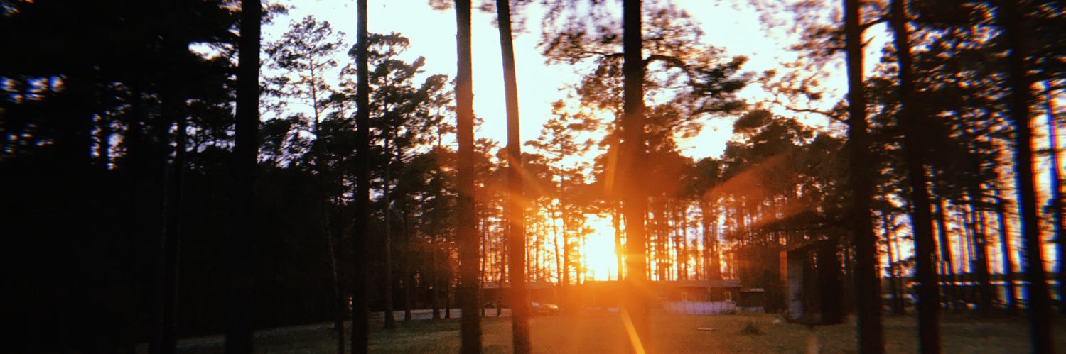 CarlyRedding's profile banner image