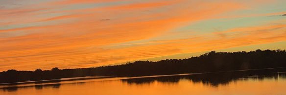 Dr. Courtney Jones banner