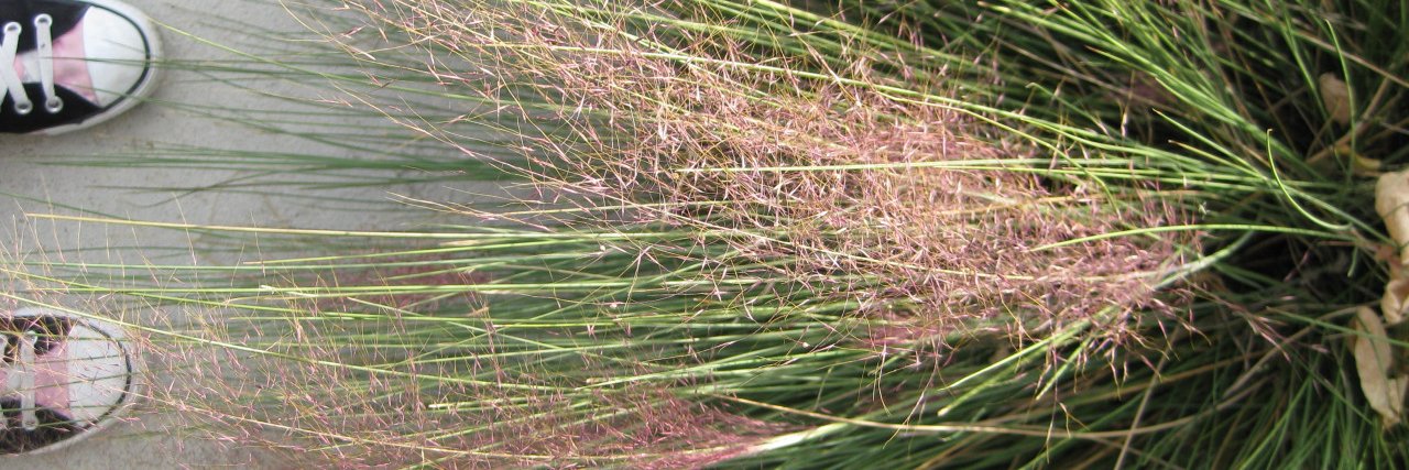 Katie Lee, PhD & @ResourcefulSqrl@mastodon.social banner