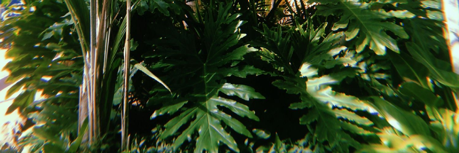 taaachi's profile banner image