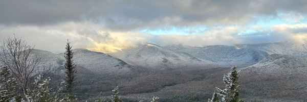 dascott55 Profile Banner