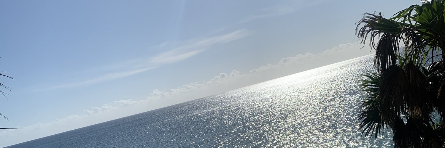 Allison21837383's profile banner image