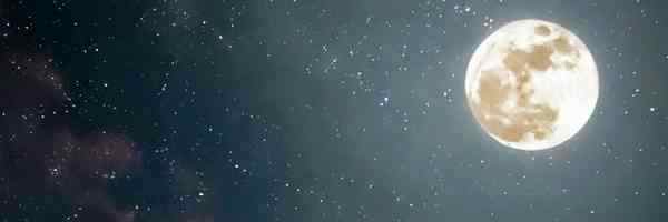MaxLMugen's profile banner image