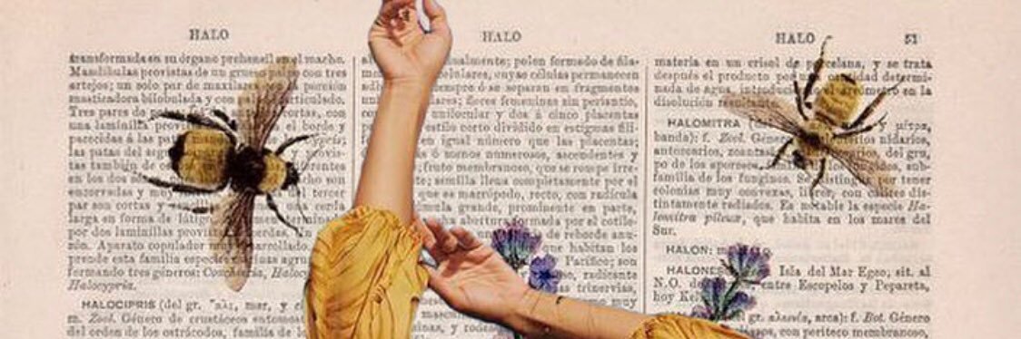 maryholla's profile banner image