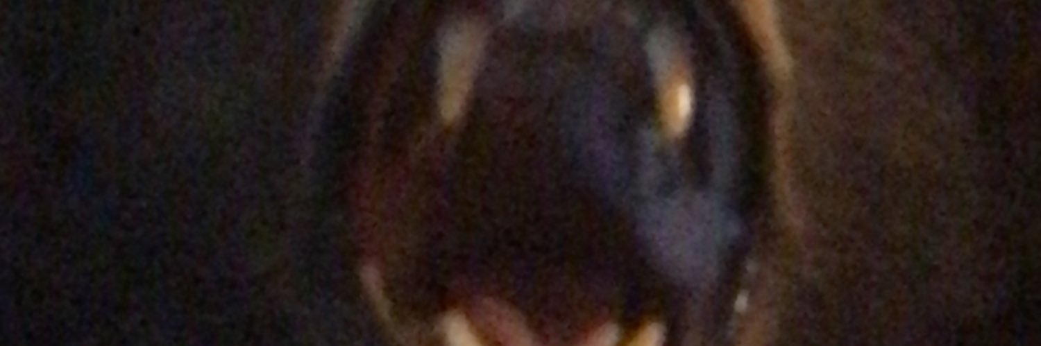 DAHAZTWO's profile banner image