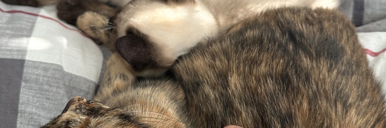 aezzir1's profile banner image