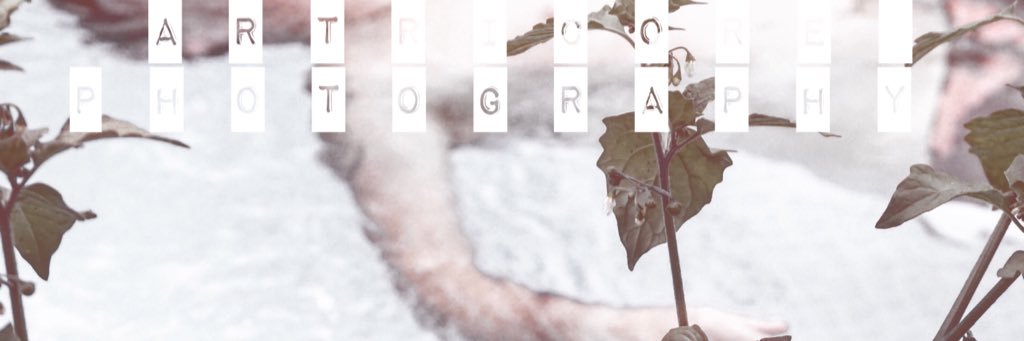 _verstrobelt's profile banner image