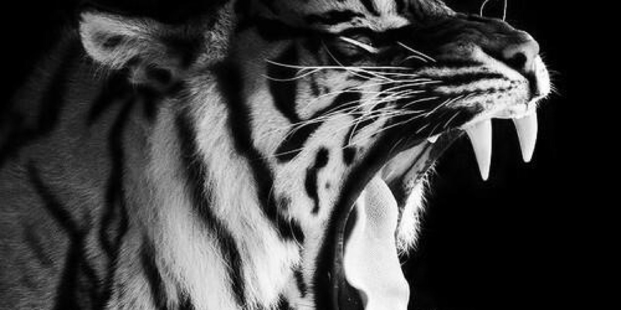 Lydia_GT's profile banner image
