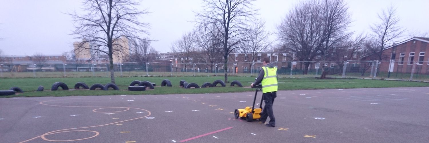 Discovery Surveys. banner