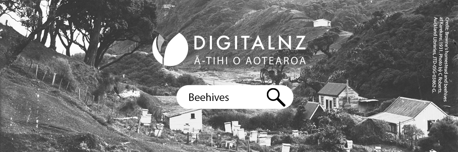 DigitalNZ | Ā-Tihi o Aotearoa banner