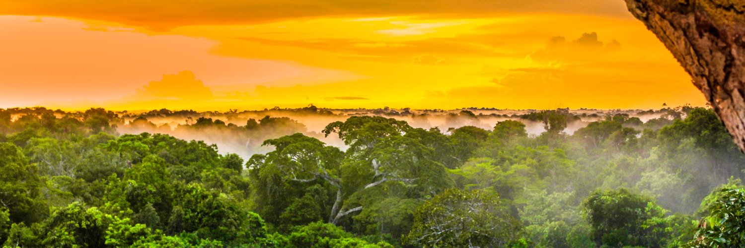 survival_wisdom's profile banner image
