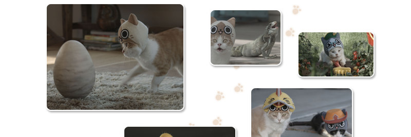tako_rex's profile banner image
