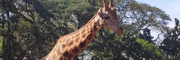 padhunabhan Profile Banner