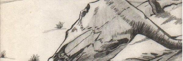 Jennifer🌹 banner