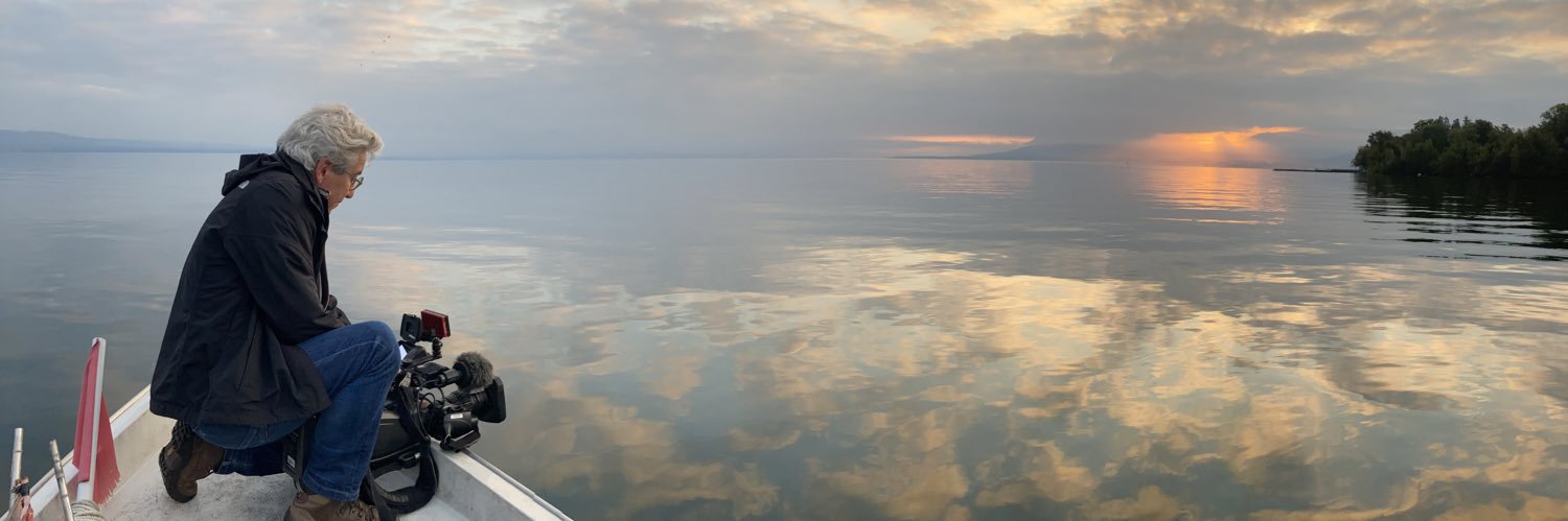 Cécile Laronce banner