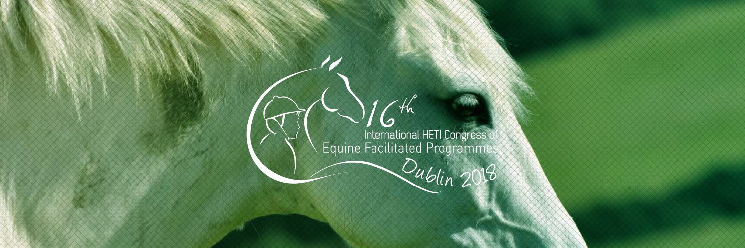 HETI2018's profile banner image