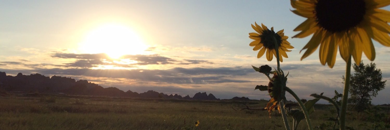 kmarnold's profile banner image