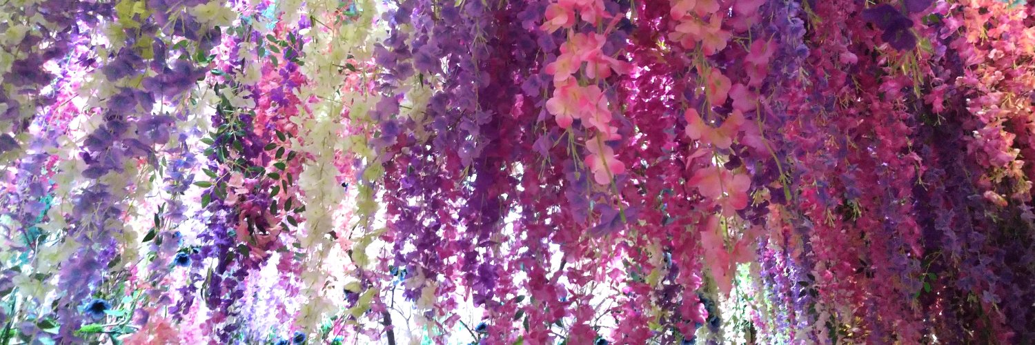 HANA_vanille's profile banner image