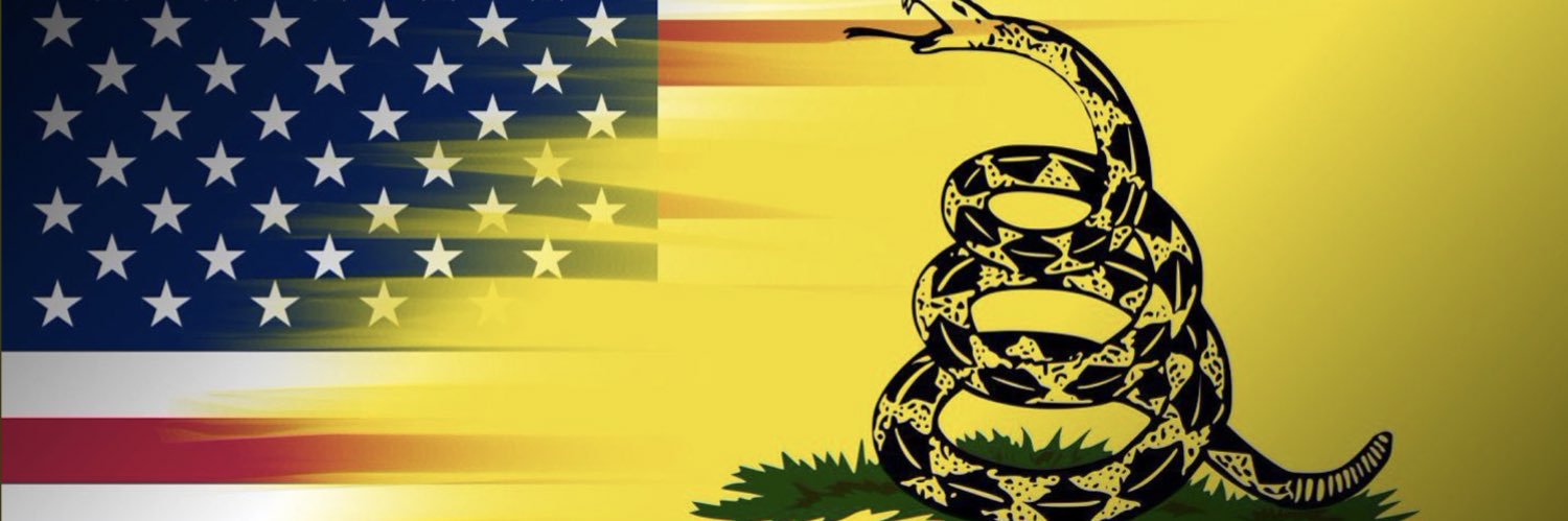 GodzillaElvis's profile banner image