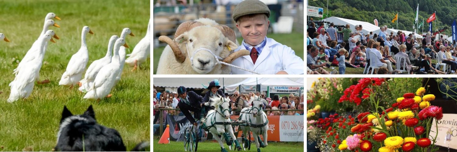 Monmouth_Show's profile banner image