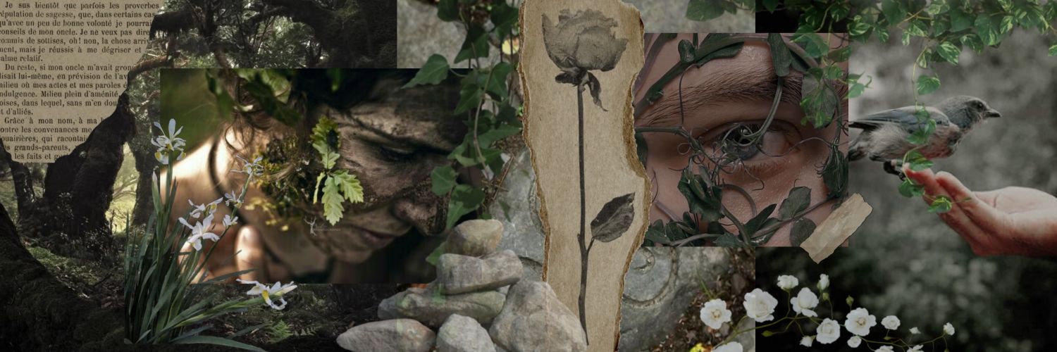 сонный лис 🌷 banner