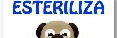 Fundación Mil Bigote banner