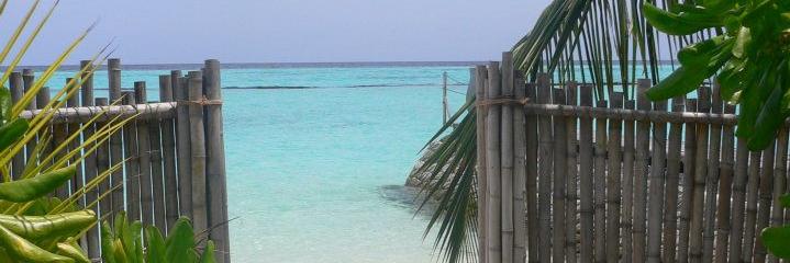 Catherine Price banner