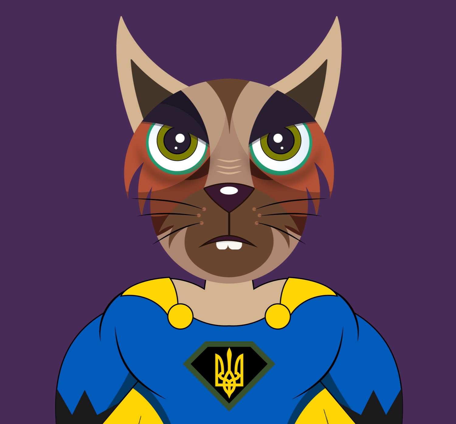 SuperMeow.algo banner